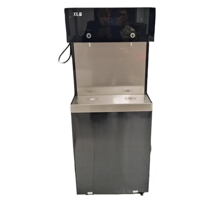 Xili XL-J2 RO Water Purifier & Hot Water Dispenser