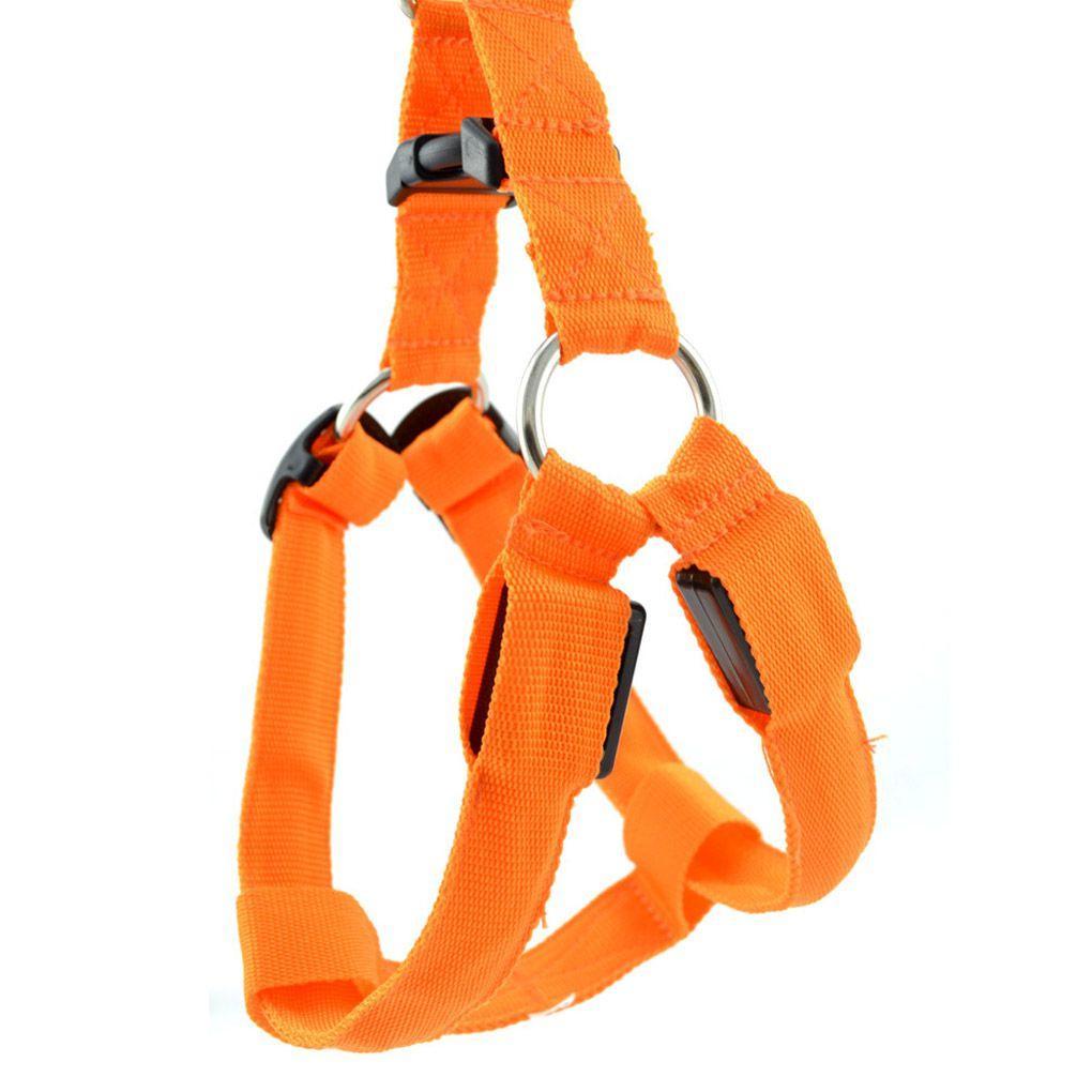 Nuova Laccetto/Imbracatura LED Luminosa Flash per Cane Animale Domestico Sicurezza Illuminata