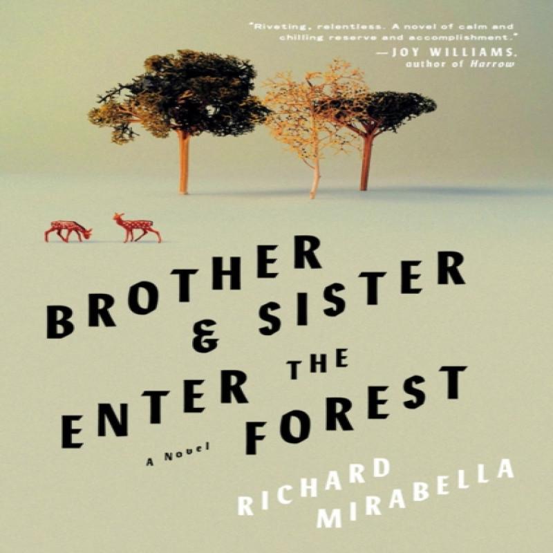 Brother amp Sister Enter the Forest by Richard Mirabella Hardback Book 9781646221172