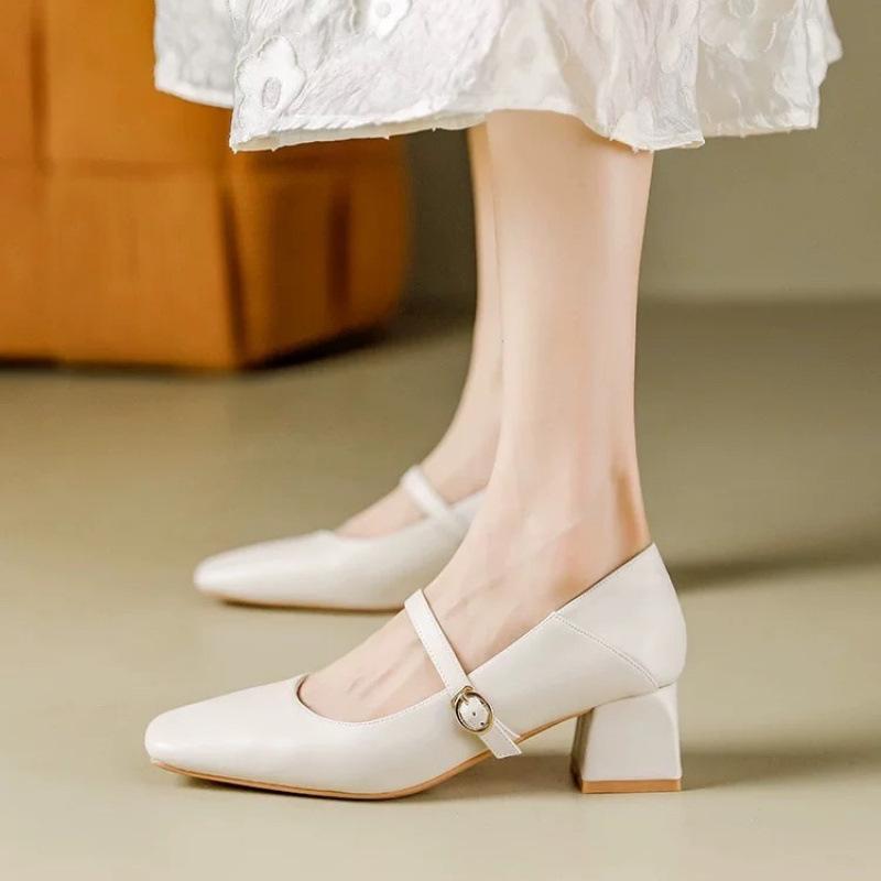 Temperament Coarse Heel Small Leather Shoes Women's Spring and Summer New French Single Shoes Gentle Square Head with Skirt Mary Jane Shoes