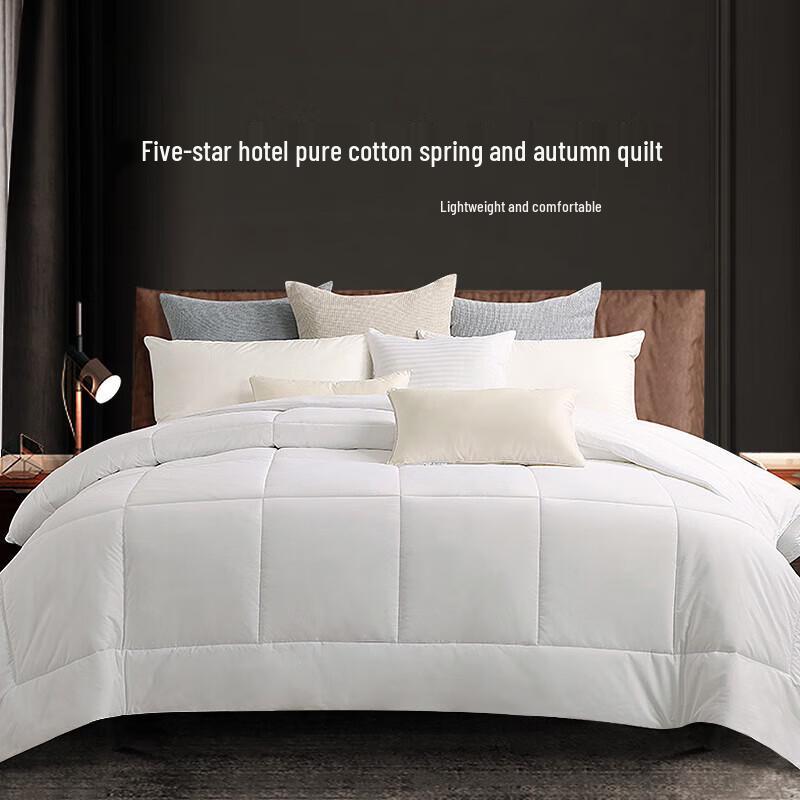 

Haomianhaomeng All-Season Soybean Fiber Quilt