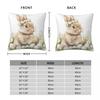 Pillow Cover Vintage Easter Bunny Egg Graphic Cushion Cover Vintage Pillow Case For Office Car Home Decorative Pillowcases