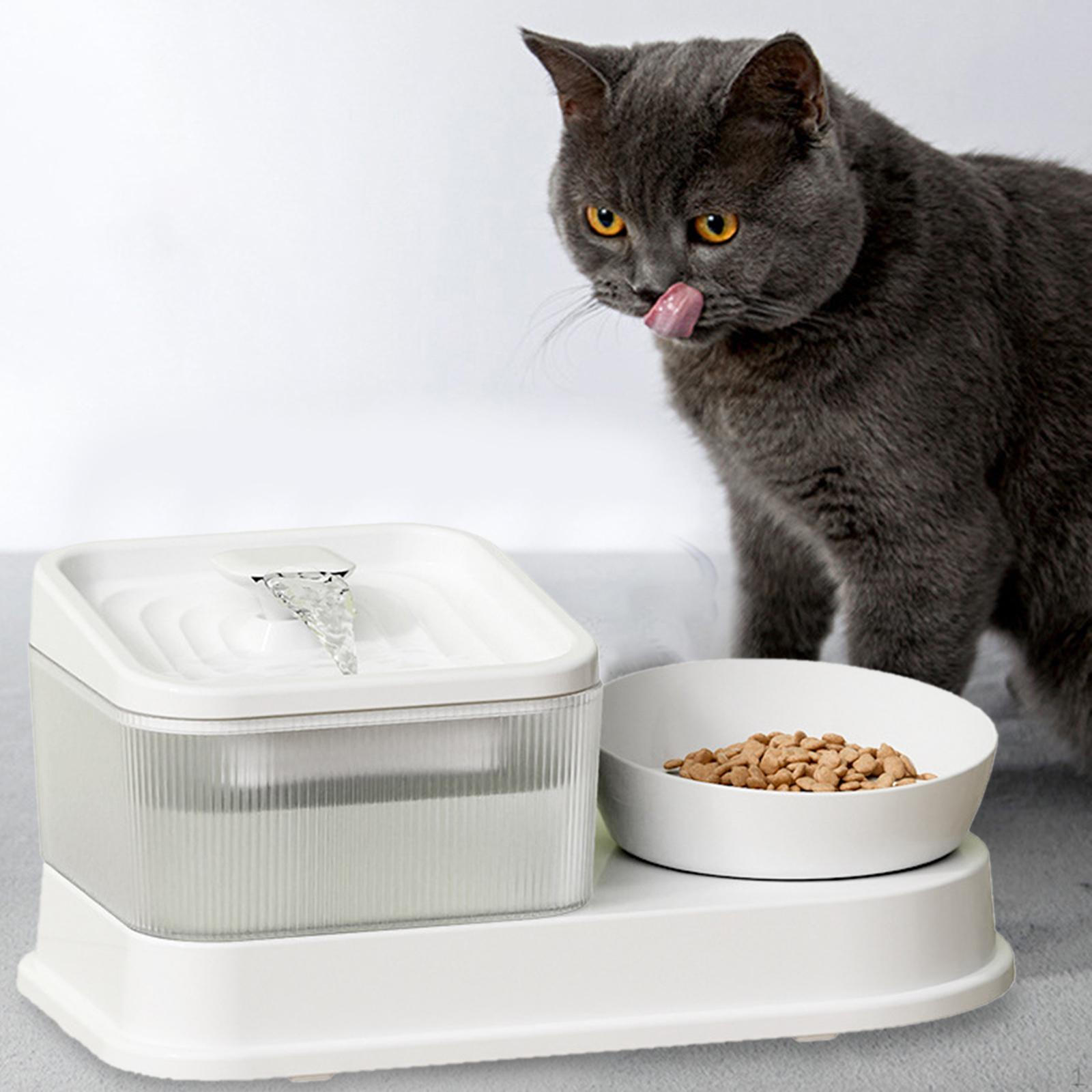 

2 Feeder and Waterer Dog Bow Supplies Quadruple Drinking Fountain Water Dispenser for Rabbit Basic