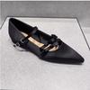 2025 Frühling neue französische flache spitze Satin Damenschuhe sanftes Temperament Schleifenschnalle Gürtel Mary Jane Einzelschuhe