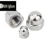 304 Stainless Steel Acorn Cap Nuts
