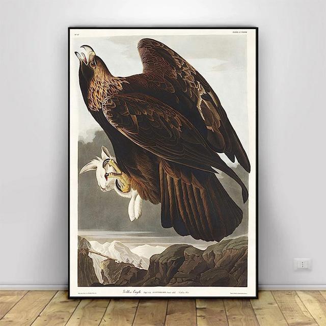 Vintage Bird Prints Retro Animal Art Natural History Canvas Paintings HD Pictures Wall Art For Living Room Home Decor Frameless