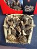 Spring Festival Yunnan Morel Mushroom Soup Gift Box
