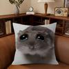 Funny Sad Hamster Emoticon Cushion Cover Pillowcase Upholstery Sofa Throw Pillow Home Decor Pillowcas