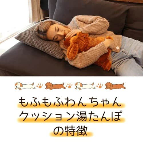 Acty Co., Ltd. Hot Water Bottle Warm Cushion & Hot Water Bottle Energy Saving Measures Energy Saving Goods Cold Prevention Disaster Preparedness Suppl