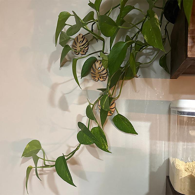 1/3Pcs Wooden Climbing Plant Wall Clip Monstera Leaves Shape Vine Bracket Fixed Buckle Traction Holder Garden Plants Support