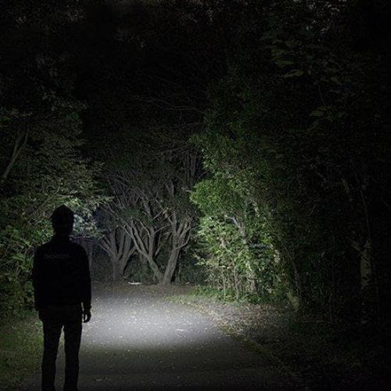 GENTOS 600 Lumen Headwars Series LED Headlamp Rear Recognition Work Focus and Outdoor HW-G533H (with Light, Light, Control, Camping)