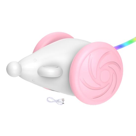 Cat Toy with LED Lights Electric Simulation Mouse Toy USB Rechargeable Interactive Toy Pet