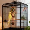 Parrot Hanging Bite Resistant Pet Bird Chew Toy Woven Colorful Parrot Foraging Basket Cornhusk Pinecone Toy For African birds