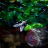 Underwater Biomimetic Fly, Fly Hook, Creek Mouth, Curved Mouth Fly Hook