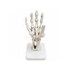 Halloween Gothic Skeleton Hand Decoration Tabletop Ornament for House Party Decor