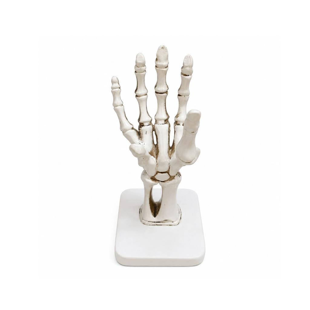 Halloween Gothic Skeleton Hand Decoration Tabletop Ornament for House Party Decor