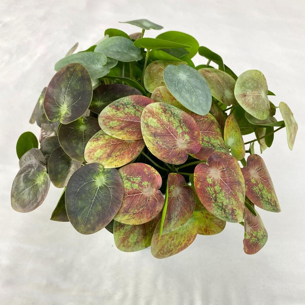 Artificial Plants Plastic For Home Decor Photography Props Wedding Decoration