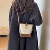 Today's Popular Small Bag Women's New Fashion Shoulder Messenger Bag Texture Portable Bucket Bag