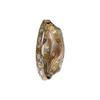 Gucci GG Supreme Floral Print Hobo Shoulder Bag With Gold Hardware For Women Daily Use
