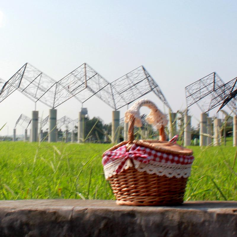 Handmade Wicker Willow Picnic Basket with Lid - Pastoral Style Storage and Fruit Basket