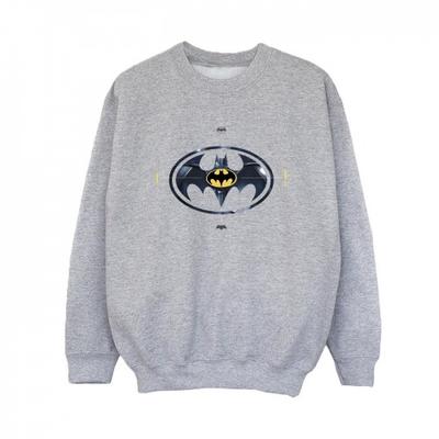 Boys The Flash Batman Metal Logo Sweatshirt