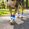 4Pcs Non-slip Dog Breathable Net Shoes Rubber Sole Wear-resistant Dog Paw Protectors Adjustable Strap Hollow Out Dog Sneakers