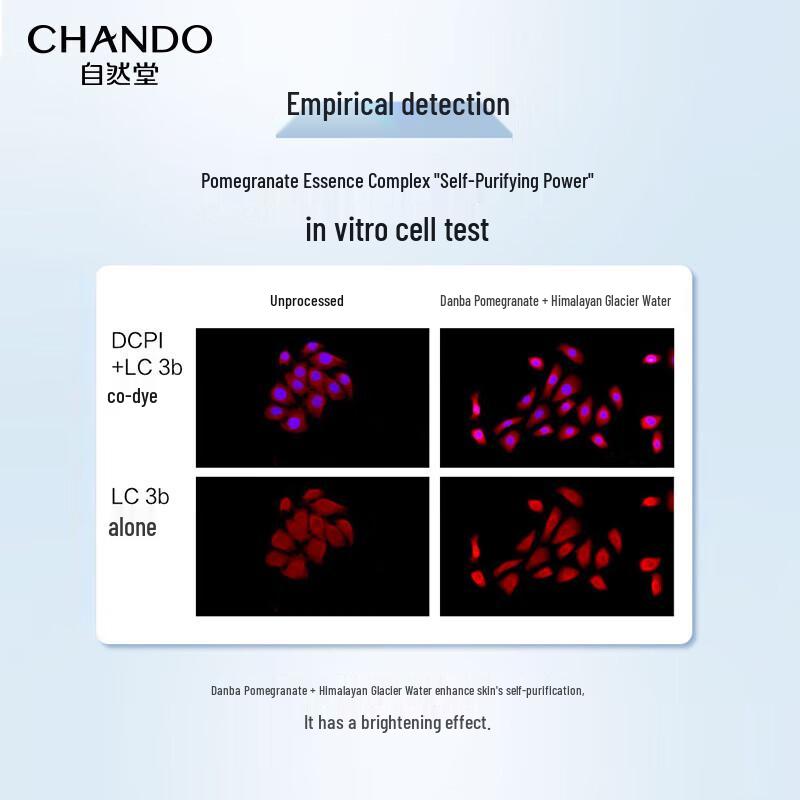 CHANDO Snow Run Crystal Clear Eye Cream