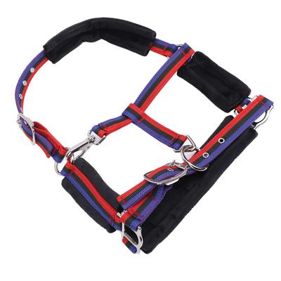 Cheval   Nylon Coupe-vent Confortable   Sangles Menton et Gorge   pour l'Entraînement Équestre
