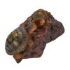 2 Tortoise Ornament Resin Tortoise Decoration Statue for Living Rooms Studies Offices