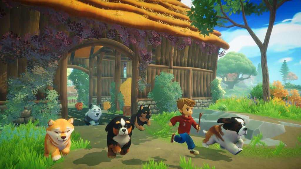 Everdream Valley Original digital wallpaper distribution -PS5 [Bonus]