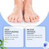 Oceaura Urea Care Foot Cream Nourishing Moisturizing Exfoliating Skin Treatment 100g