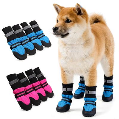 Ropa y calzado – Zapatos para perros