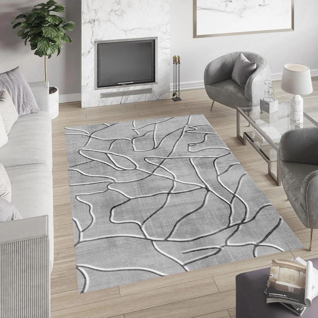 Rovigo Home Washable Printed Carpet RV081-FNL365