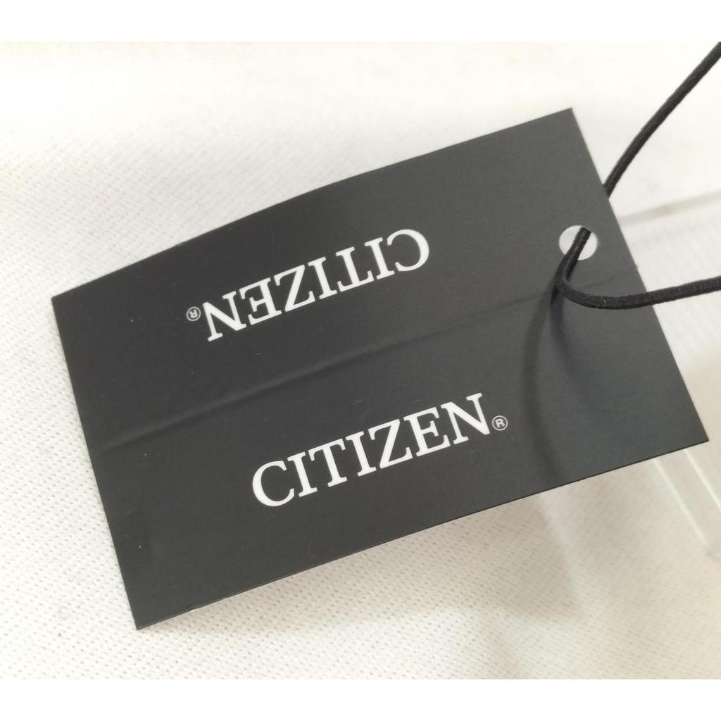 Used CITIZEN 8204-R014960 PROMASTER