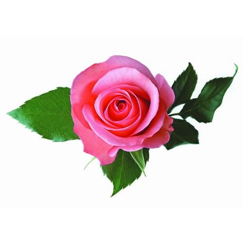 Marshmallow Foot Exfoliating Pack, One Size Fits All (Up to 27cm), Foot Peeling, Heel Exfoliation, Foot Exfoliation, Moisturizing, Cracked Skin, One U