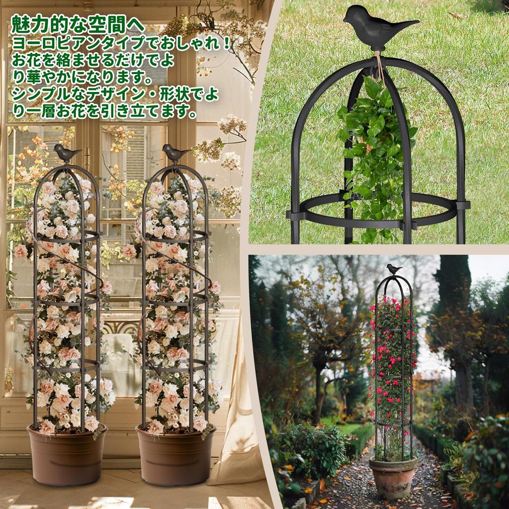 Caroeas Rose 25cm Wide x 180cm Metal Plant Training Gardening Obelisk Stand for Climbing Vines and Outdoor Home Gardening Easy Suitable for Climbing