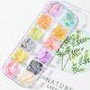 12 Grids Abalone Seashell Nail Art Slices Holographic 3D Mermaid Irregular Nail Art Glitter Flakes Manicure Sparkly Decoration T