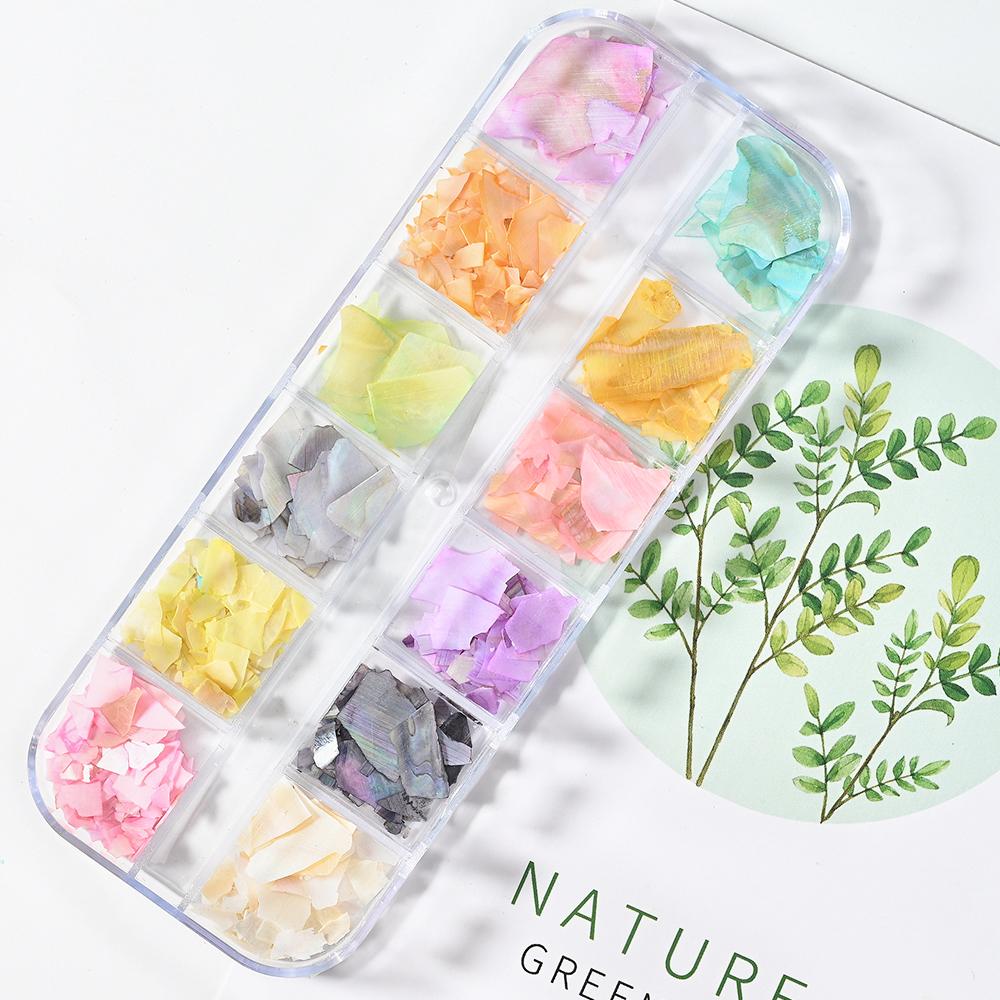 12 Grids Abalone Seashell Nail Art Slices Holographic 3D Mermaid Irregular Nail Art Glitter Flakes Manicure Sparkly Decoration T