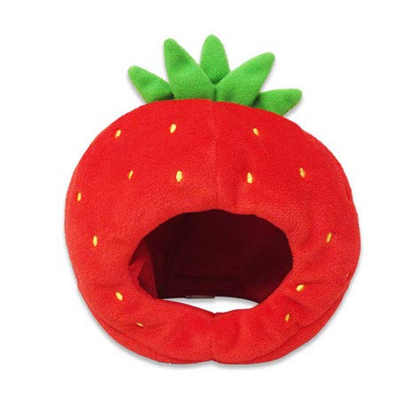 Naito Design Institute Plush Costumer Fruit Series Strawberry (M)