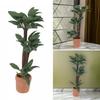 Realistic Plant Dollhouses Miniature Brazilwood Money Tree with Pottery Pot for 1/12 Dollhouses Garden and Patios Decors