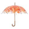 Guarda-chuva Transparente com Folhas de Outono