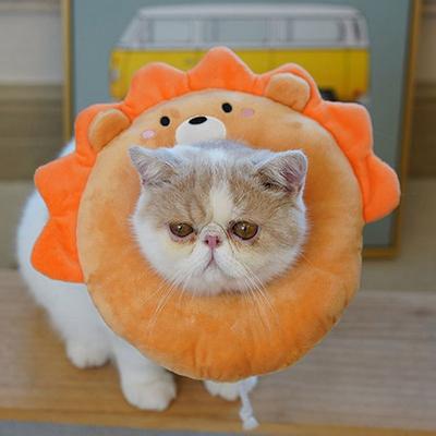 Verstellbarer Anti-Biss Verhindert Bisswundheilung Elizabethanischer Kreis Genesungshalsbänder Katze Halsband Haustierbedarf Schutzhalsband