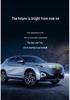 Dongfeng Haohan 5-Sitzer Leder Autositzkissen für alle Jahreszeiten