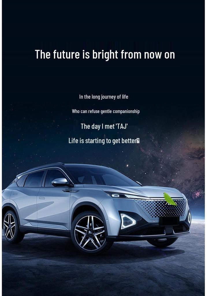 Dongfeng Haohan 5-Sitzer Leder Autositzkissen für alle Jahreszeiten