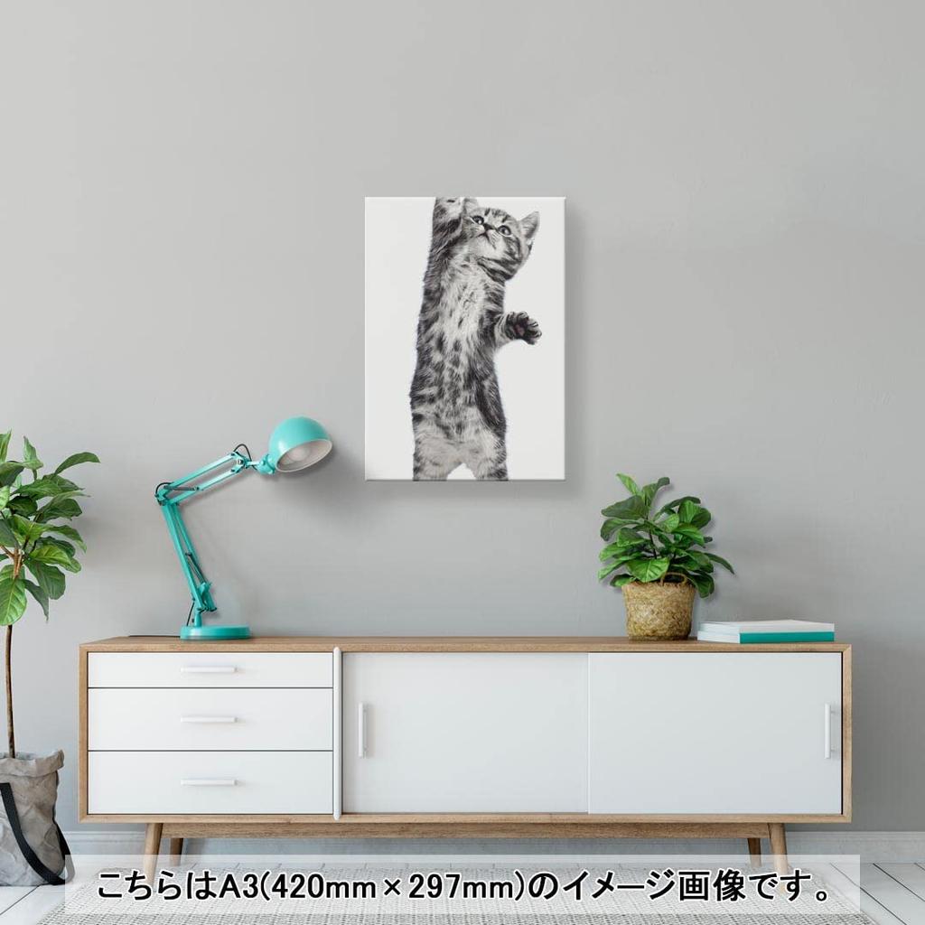 Art 420mm x Wall Wooden Stylish Interior Cat Panel, Painting, Decoration, igsticker, 297mm, A3, Photo, Hanging, Frame, Decor, 001200, Animal,