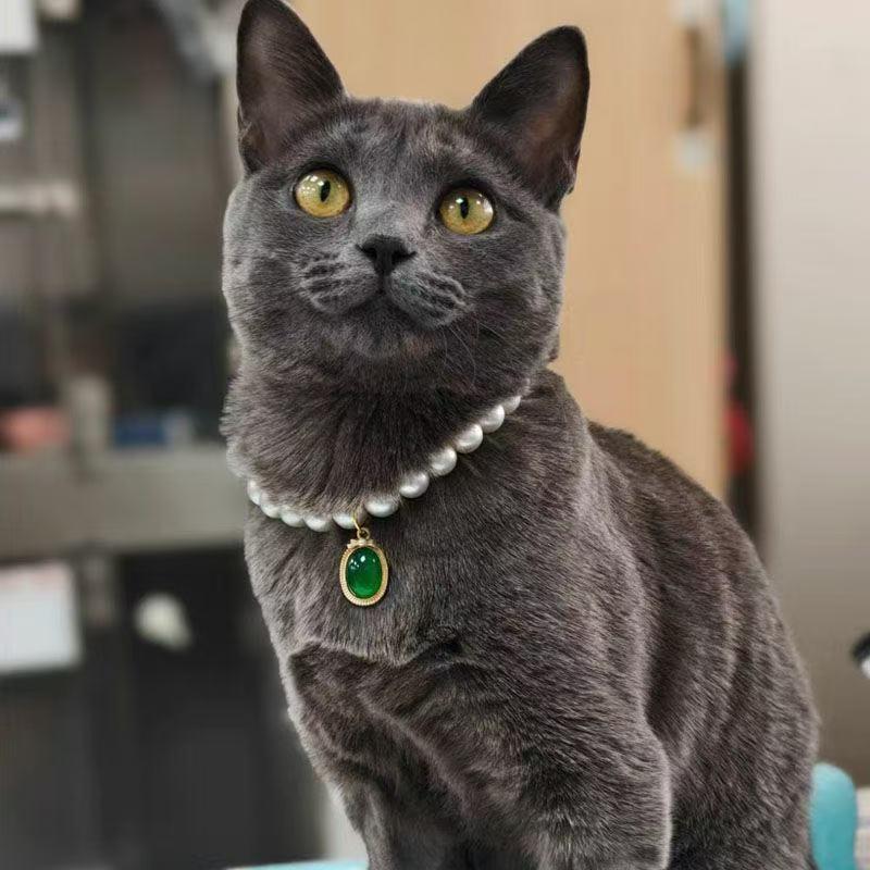 Charming Pet Collar with Emerald Pendant and Faux Pearls - Elegant Accessory for Cats and Dogs