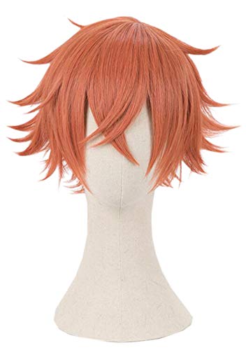 Cosplay Wig with Net, Heat Resistant, Halloween Costume (Ace Trappola)