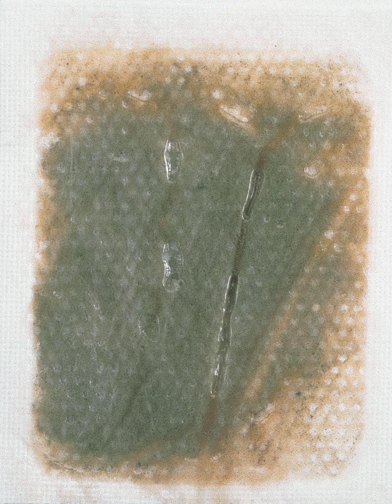 KOKUBO Tree Sap Power Quick Foot Sheets Sheets Per Foot Sole Tree Sap Sheets with Mugwort Wood Bamboo Made In (2 Pack) 12-Pack, Sheets, Tourmaline,