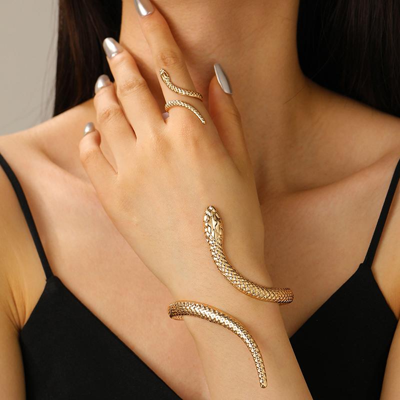 1Pcs/Set Vintage Snake Shaped Bracelets For Women Men Exquisite Punk Ring Personalized Earrings Party Jewelry Accessories Gifts