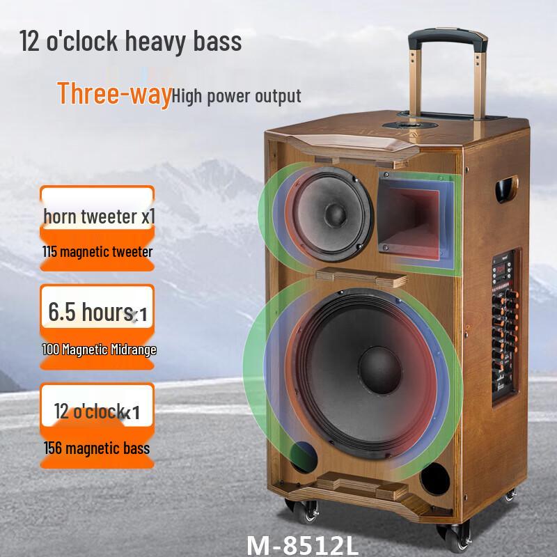 MALONE 85 Series High-Power Portable Bluetooth Karaoke Speaker CN plug (adapter included)